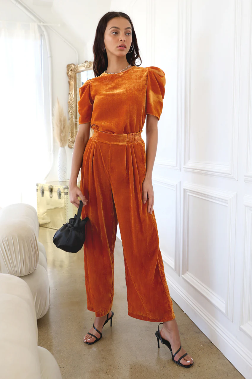 Ariel Wide Leg Velvet Pant - Image 3