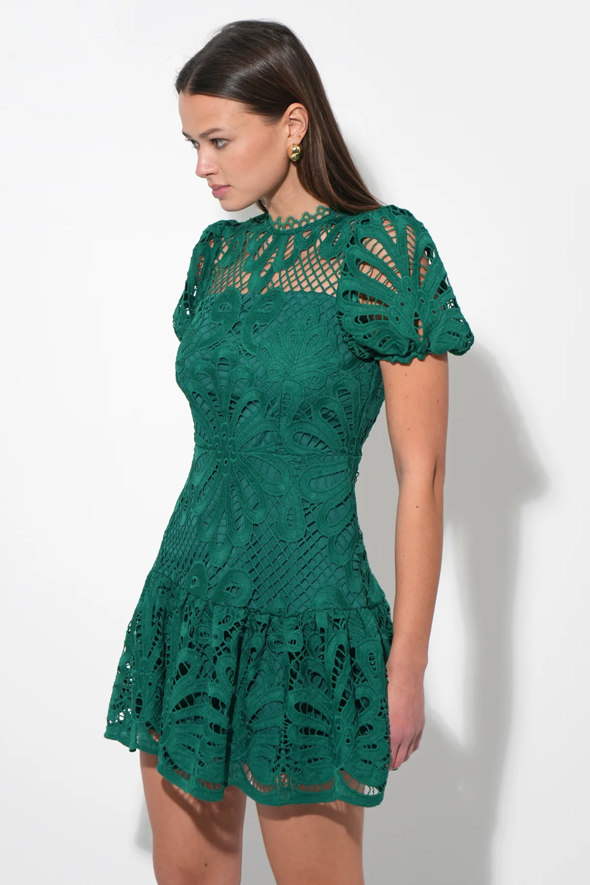Clarisse A Line Placement Lace Dress - Image 3