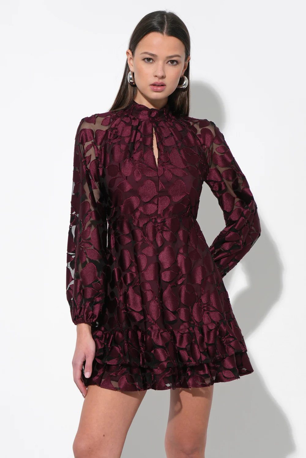 Elinor Velvet Burnout Mock Neck Fit and Flare Dress