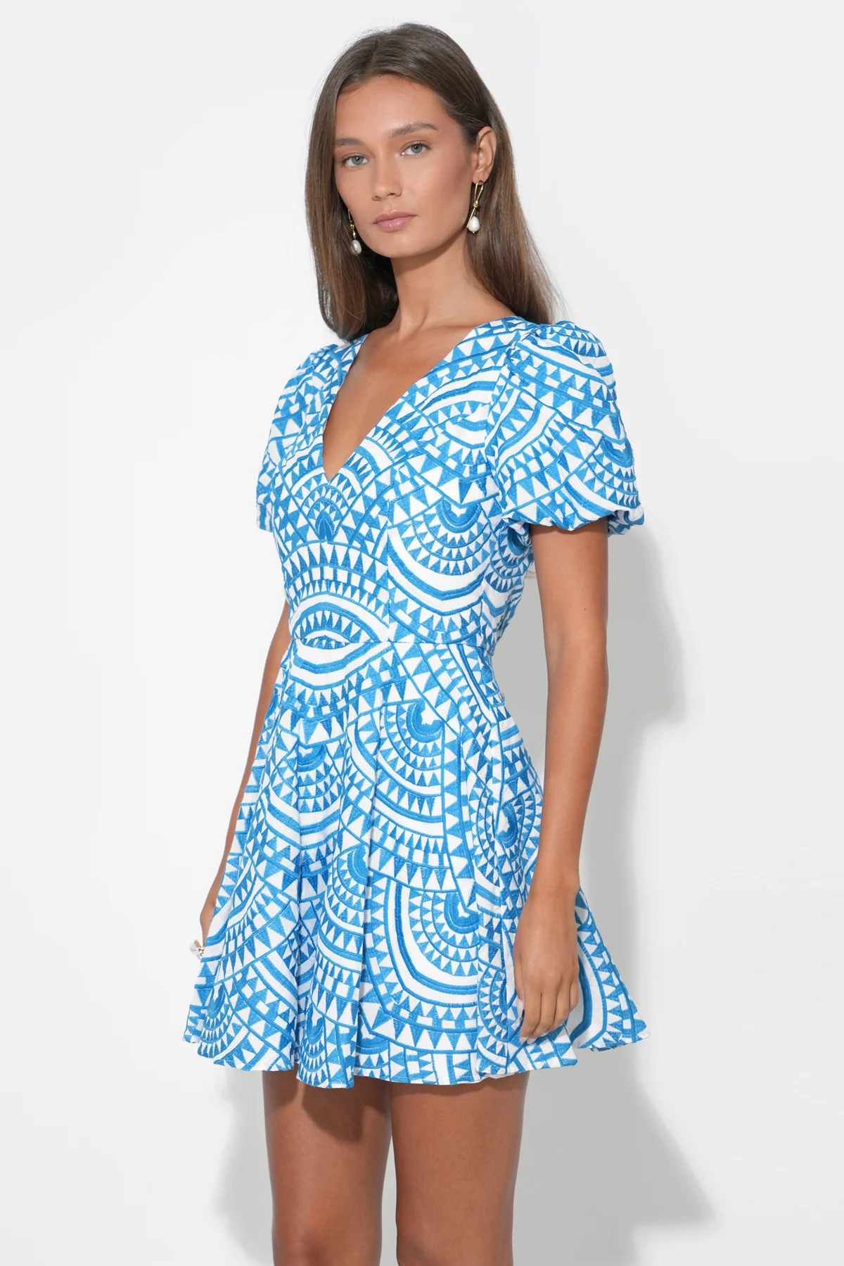 Genesis Fit & Flare Embroidery Mini Dress