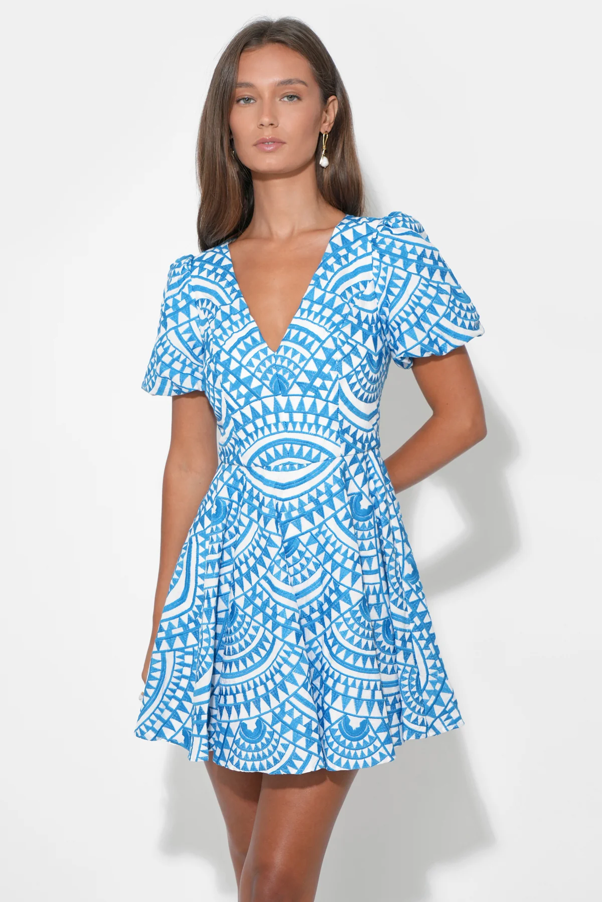 Genesis Fit & Flare Embroidery Mini Dress - Image 3