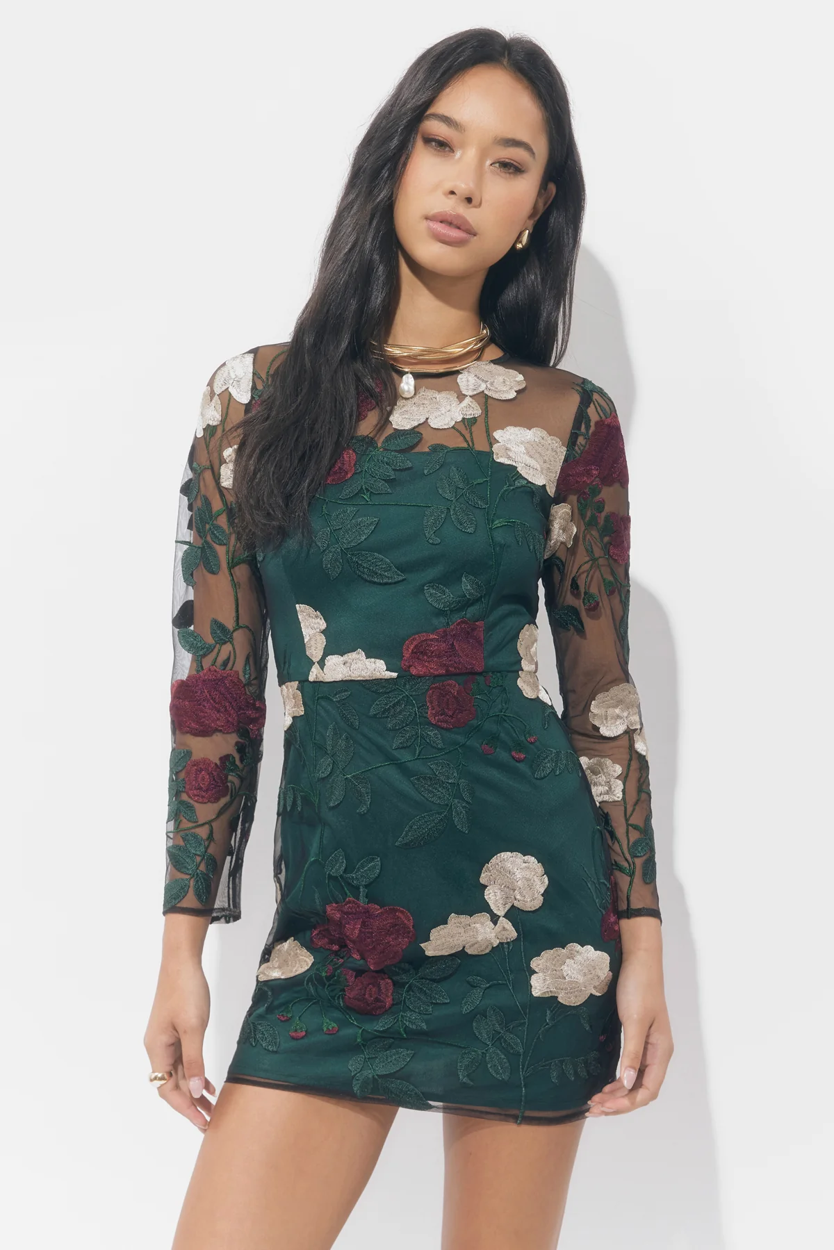 Noia Embroiled Mini Dress - Image 3