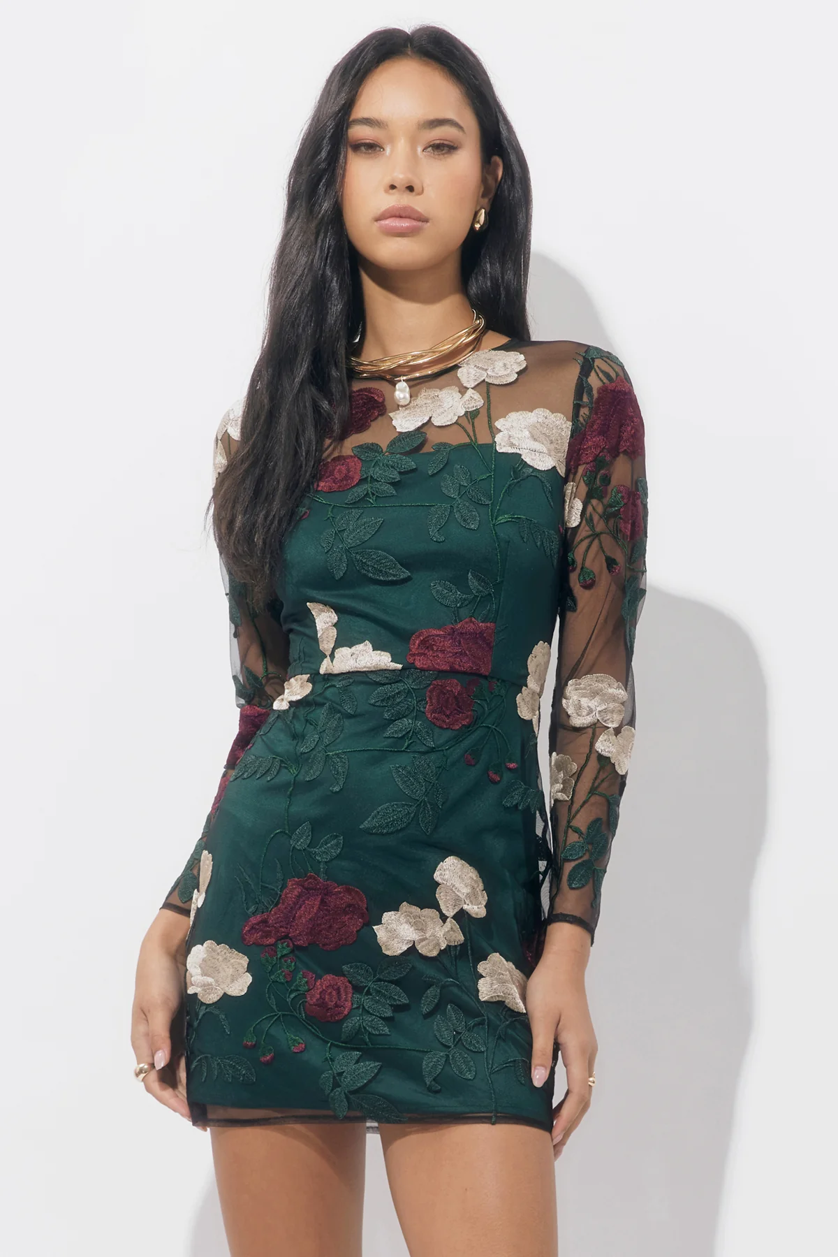 Noia Embroiled Mini Dress - Image 4