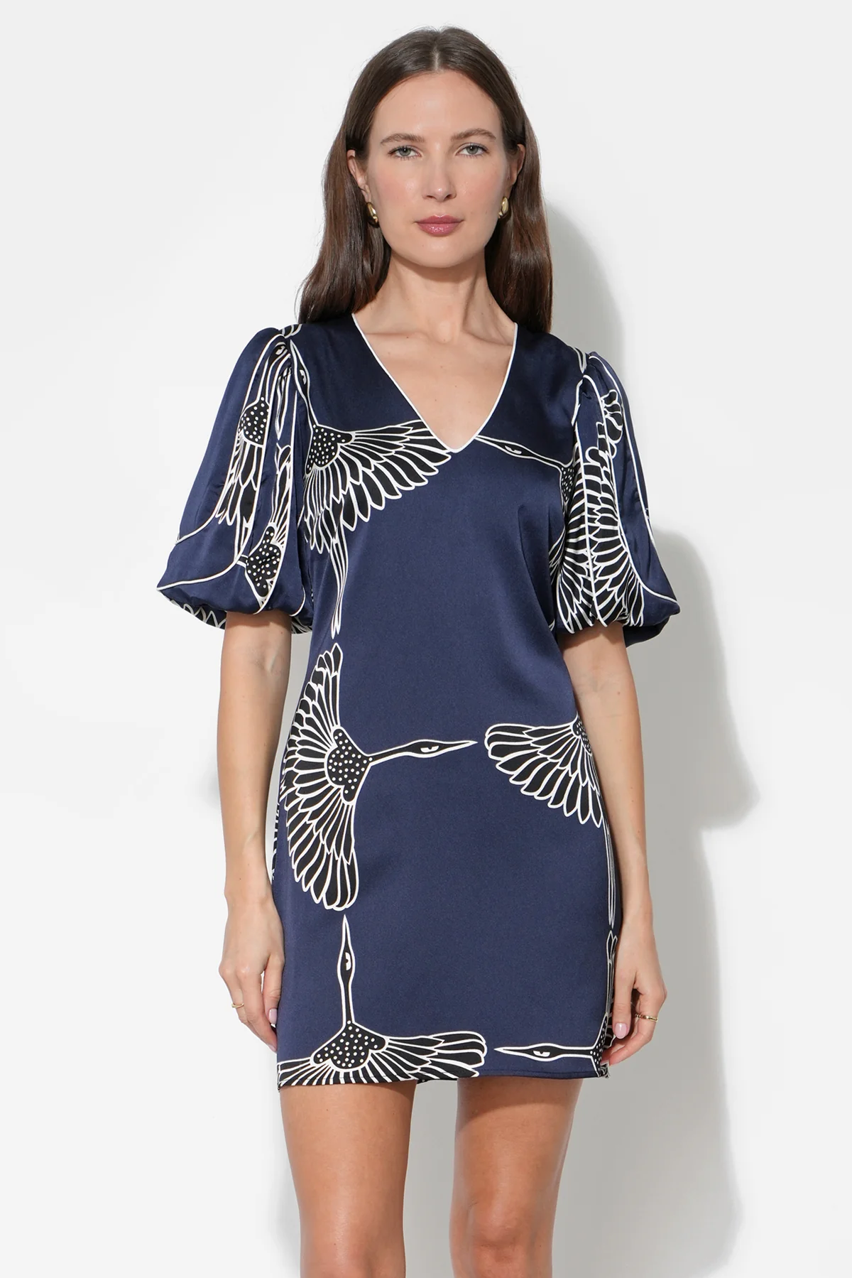 Sylvie V-Neck Bubble Sleeve Mini Dress - Image 4